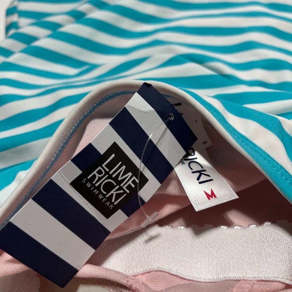 NWT Lime Ricki Bandeau Pool Stripe Tankini Top Blue Aqua White Size M Medium New - Picture 4 of 5